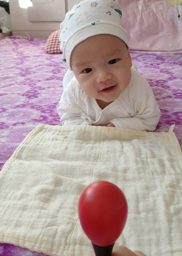 模特-