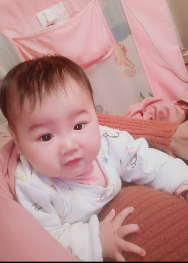 模特-
