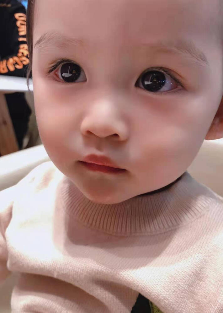 模特-