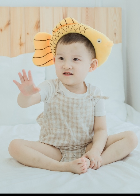 模特-
