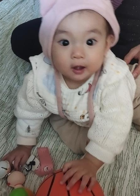 模特-