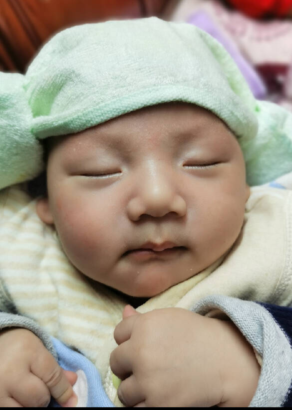 模特-