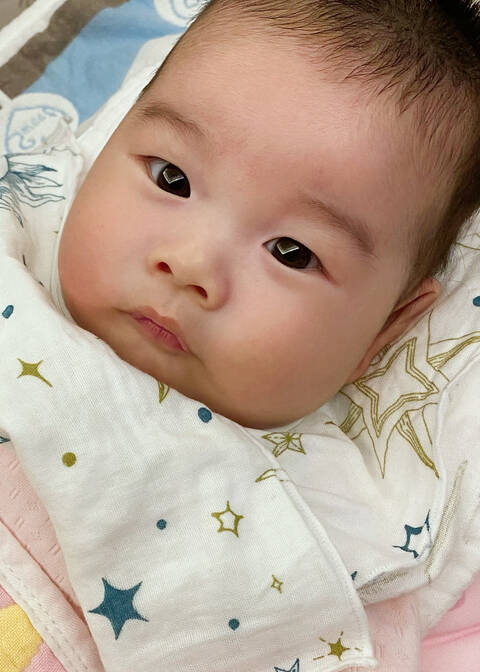模特-