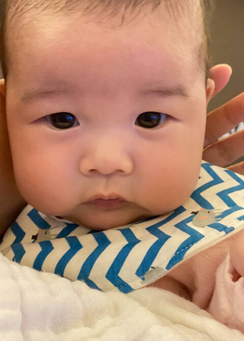模特-
