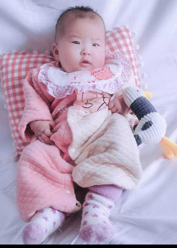 模特-
