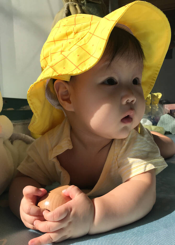模特-