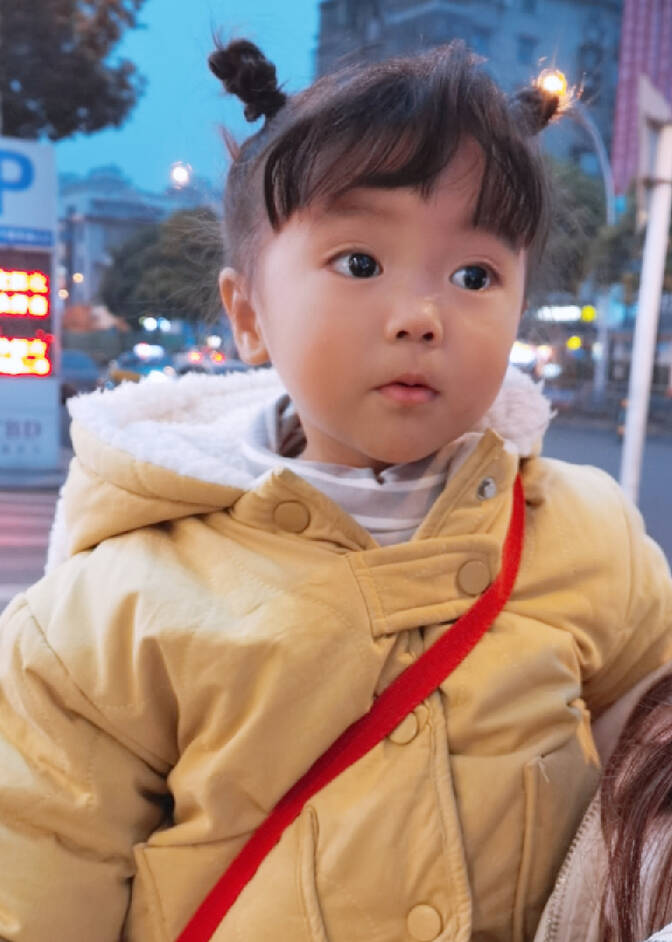 模特-