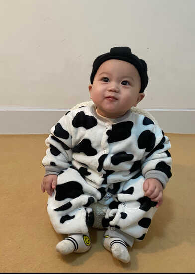 模特-