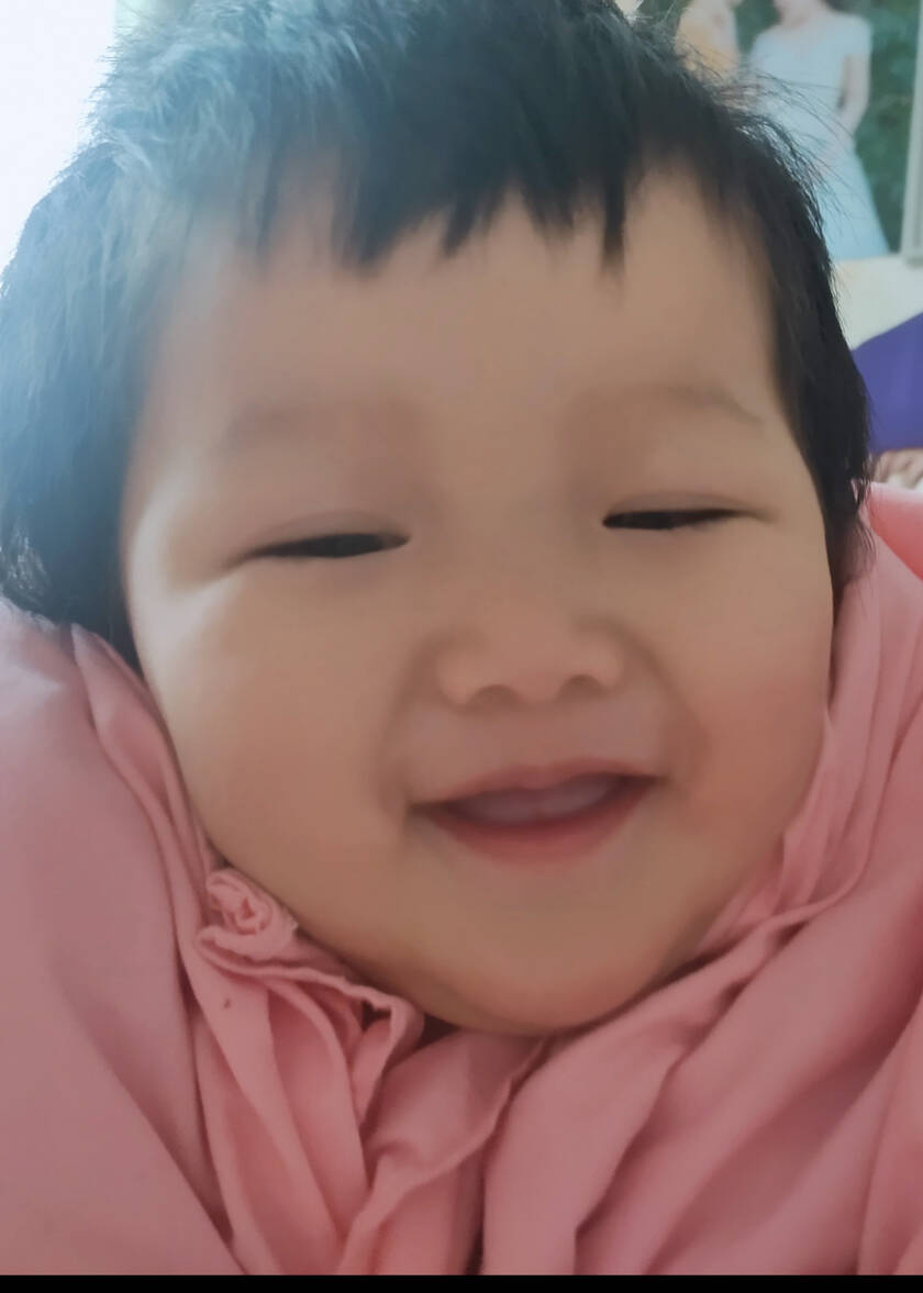 模特-