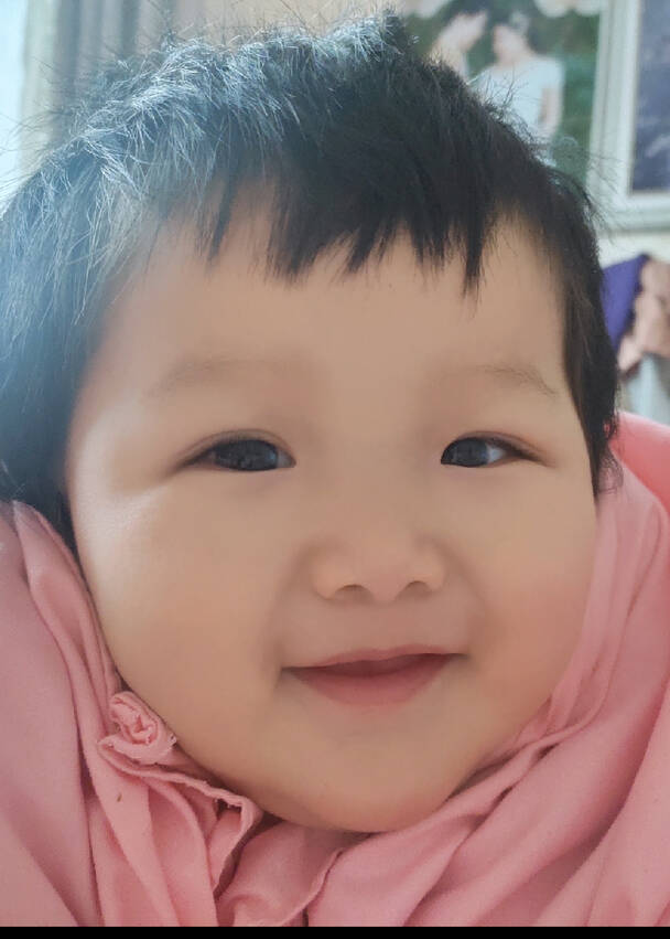 模特-