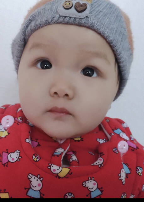模特-