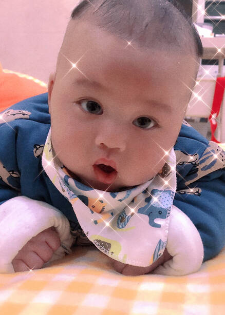 模特-