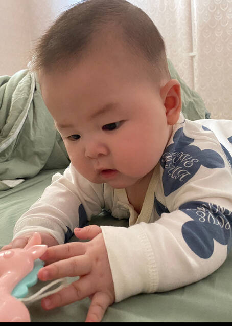 模特-