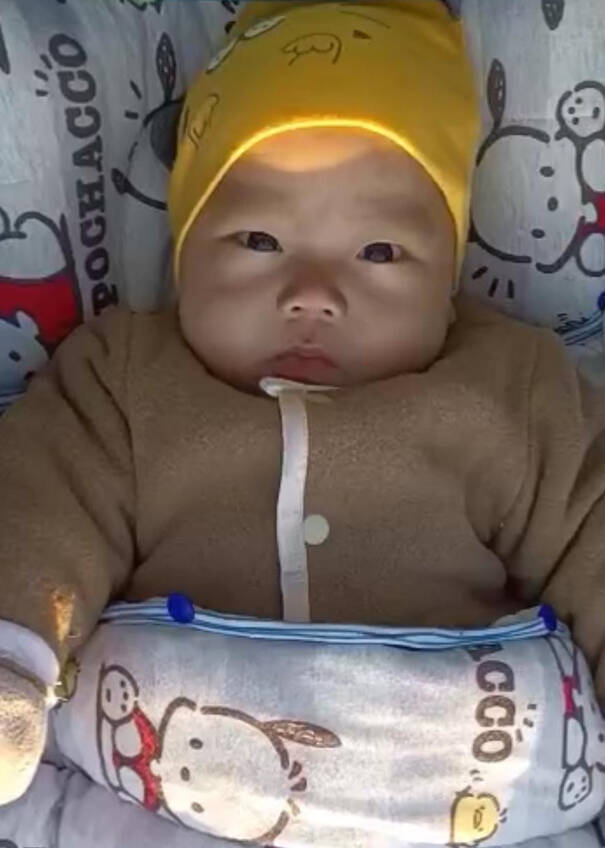 模特-