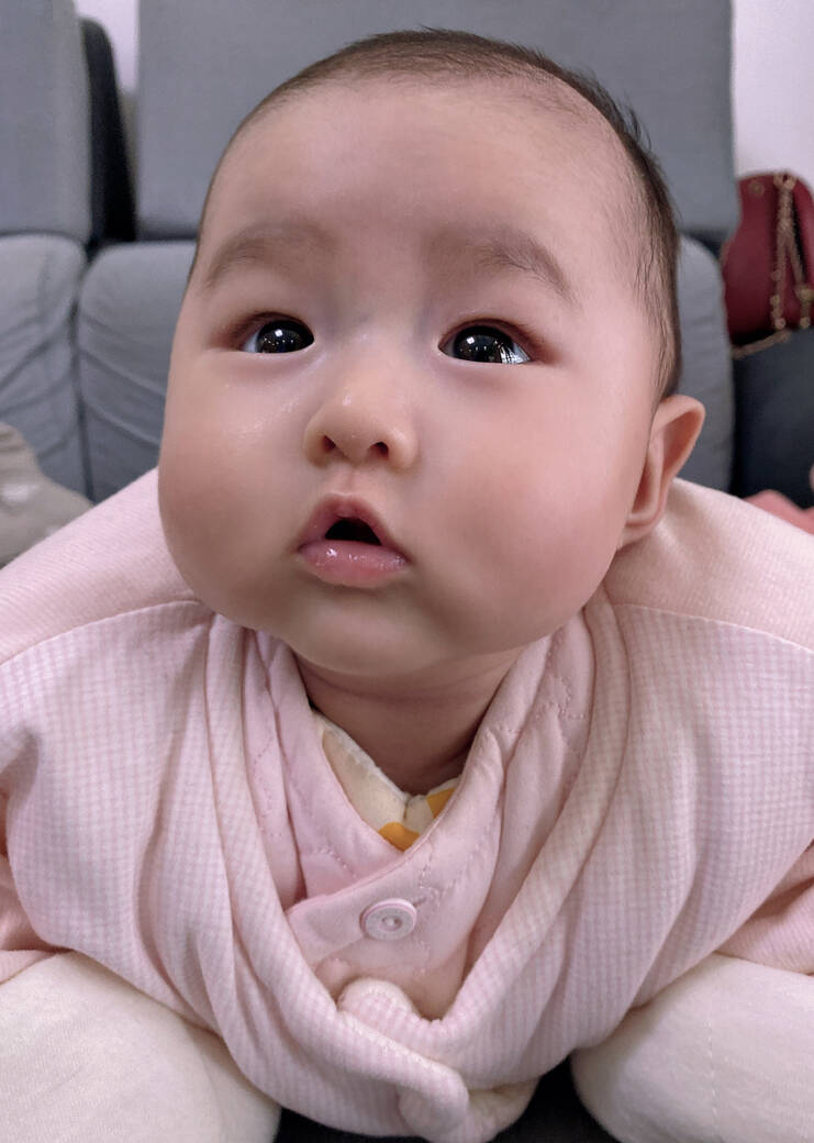 模特-