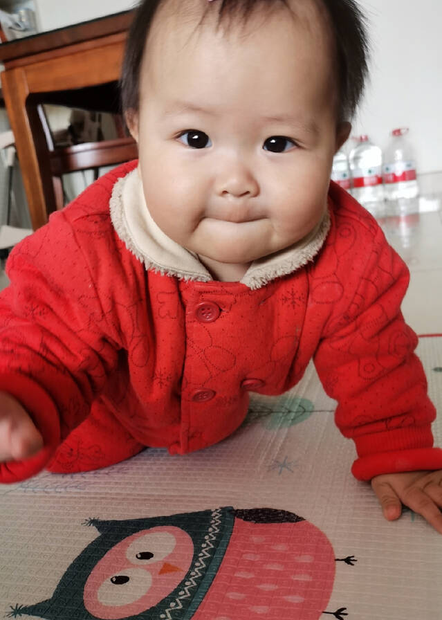 模特-