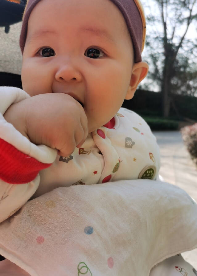 模特-