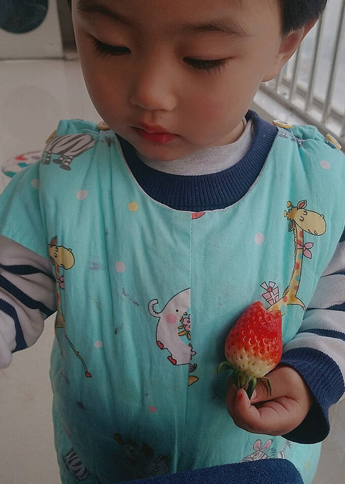 模特-