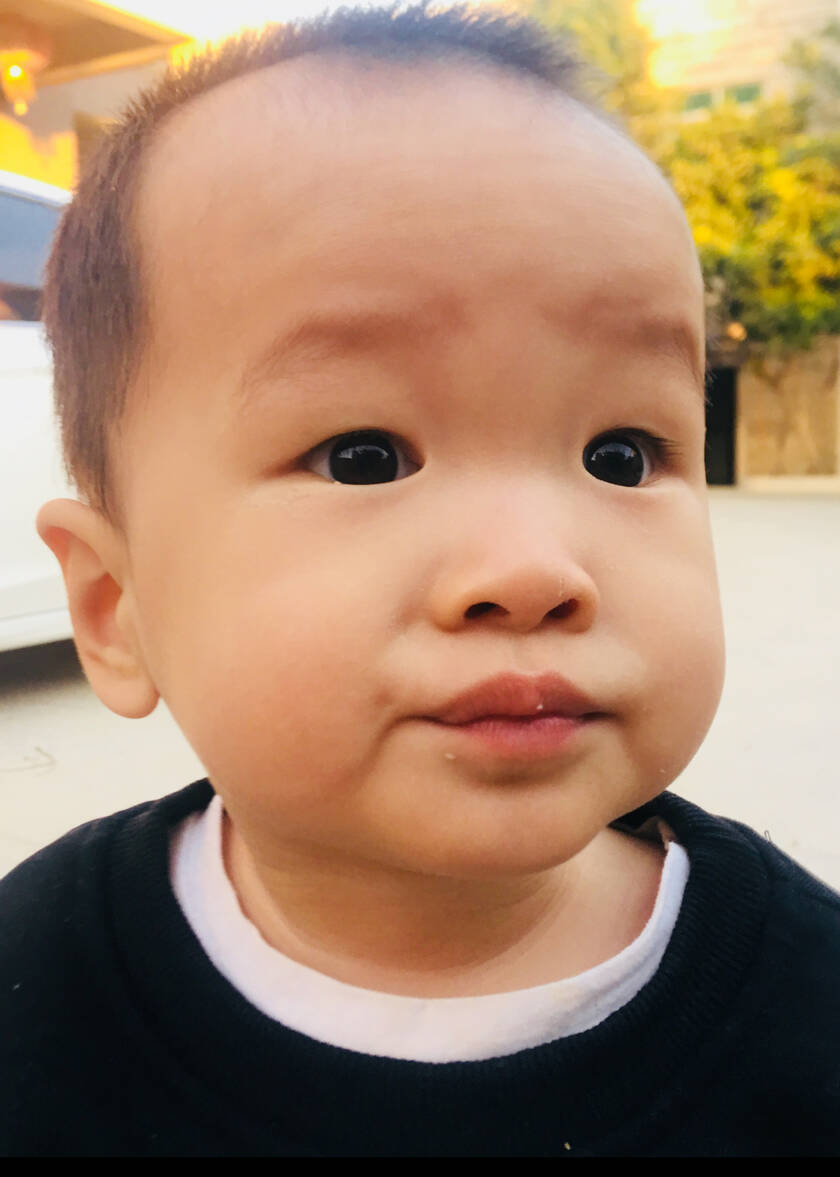模特-