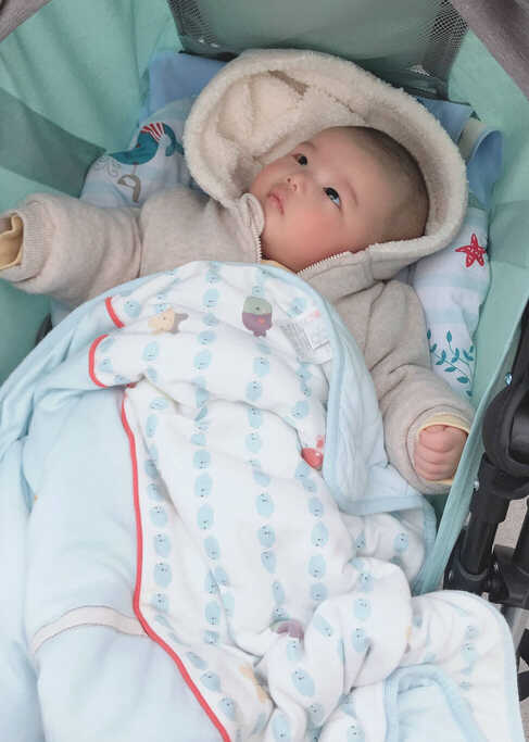 模特-
