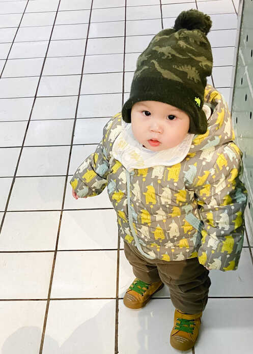 模特-