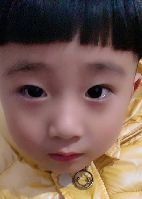 模特-