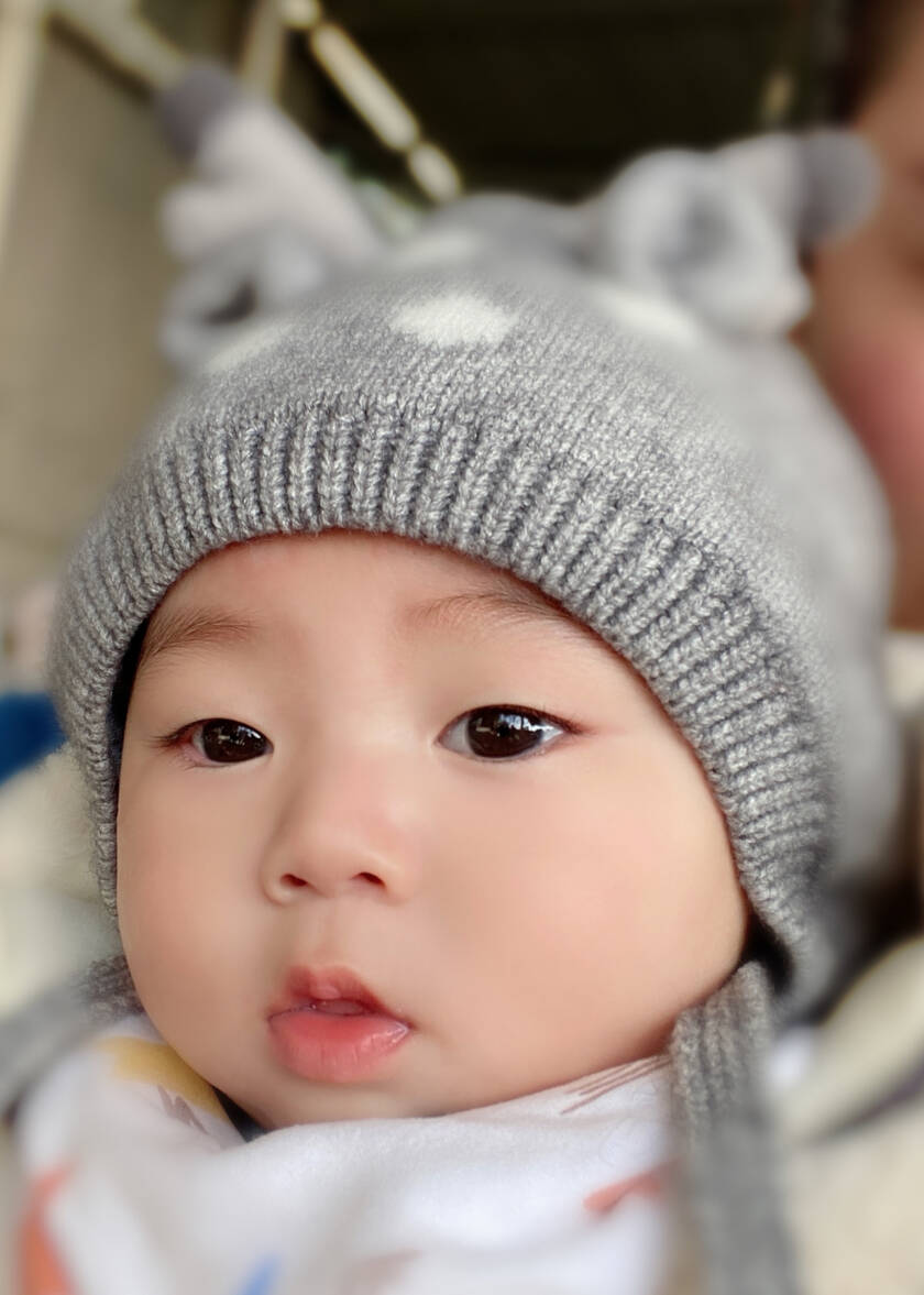 模特-