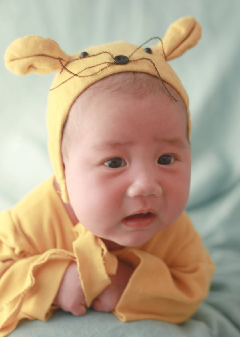 模特-