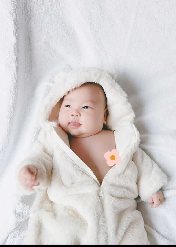 模特-