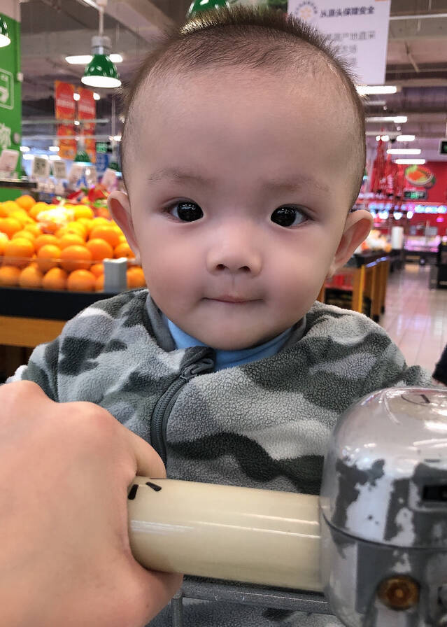 模特-