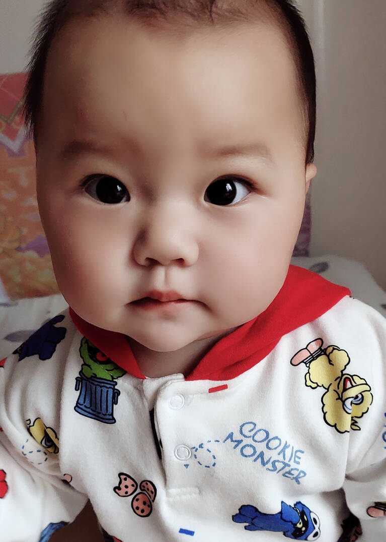 模特-