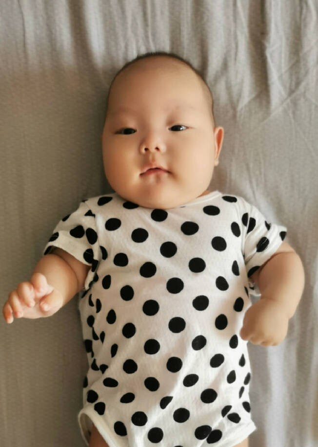 模特-