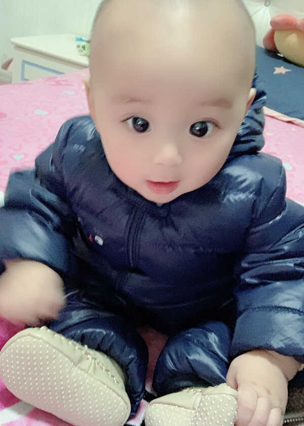 模特-