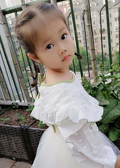 模特-