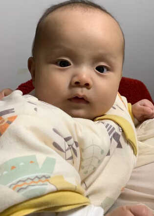 模特-