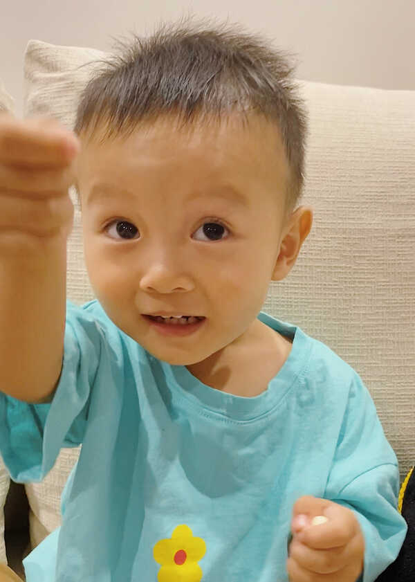 模特-
