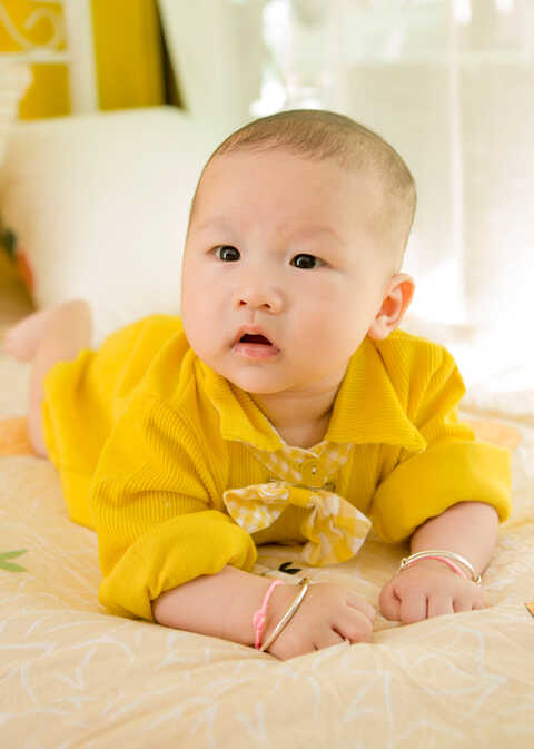 模特-