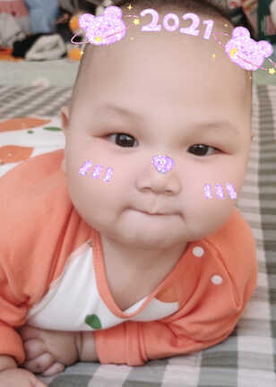 模特-