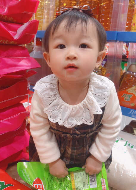模特-