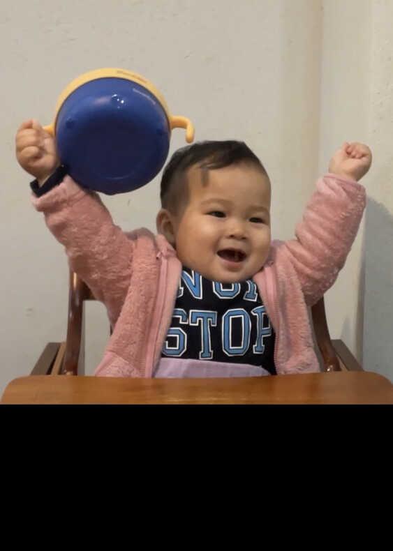模特-