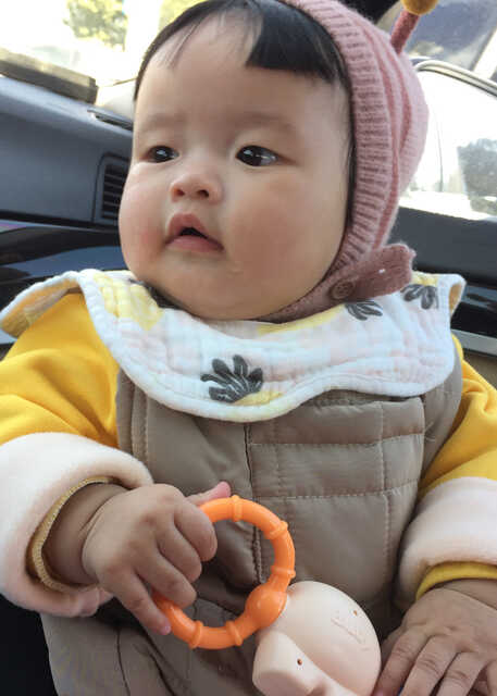 模特-