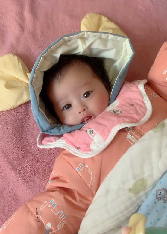 模特-
