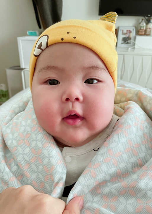 模特-