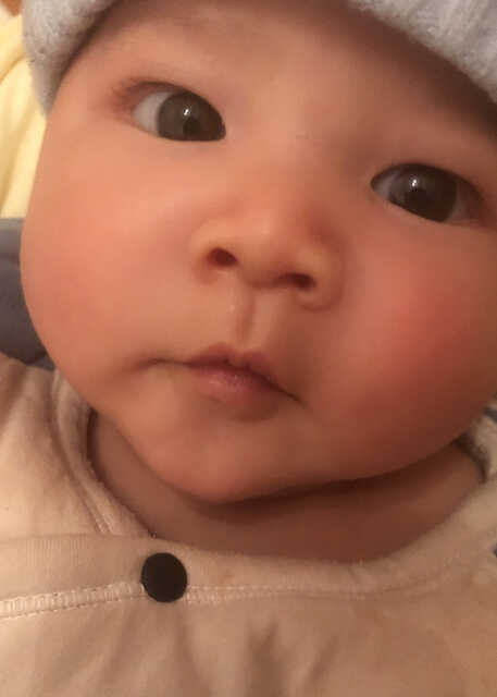 模特-