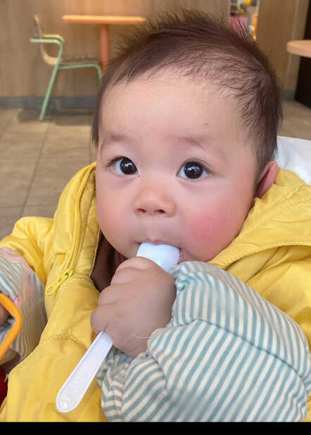 模特-