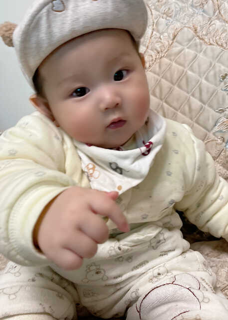 模特-