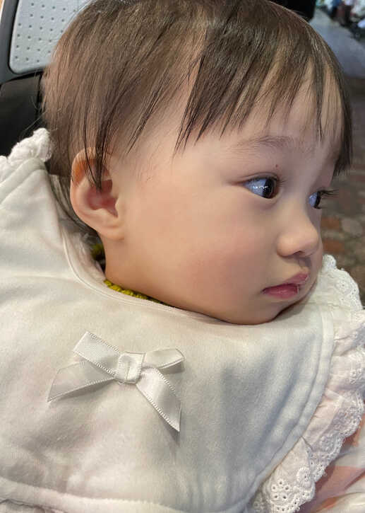 模特-