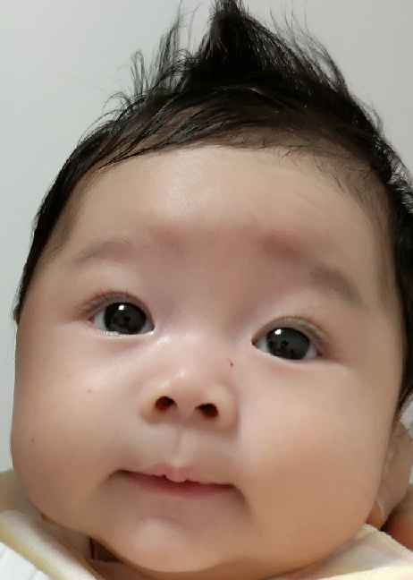 模特-