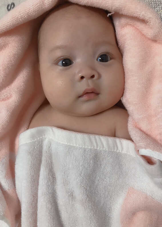 模特-