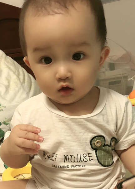 模特-